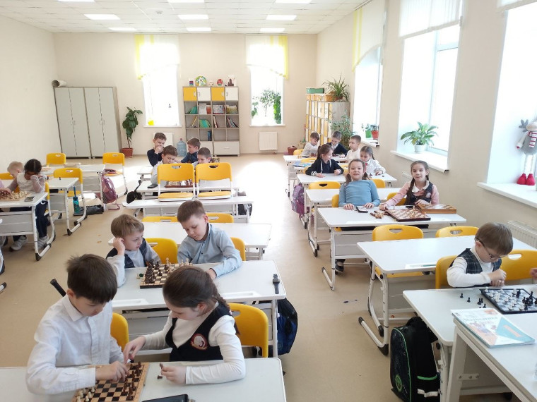 Шахматный турнир в нашей школе.