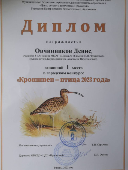 Итоги городского конкурса «Кроншнеп – птица 2023 года».